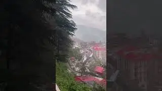rain in Shimla😍#shimla #shimlatour #shorts #shimlanews #shimlavlog