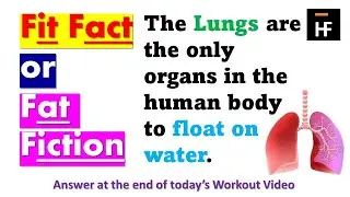 Do Lungs Float in Water? Fact or Fiction! #dailyexercise #exerciseathome Day10 Daily Workout
