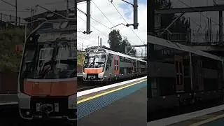Brand new train 🚃 NSW TRAINLINK D Set #shorts #new #train #dset #nsw