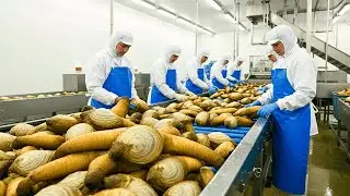 Как выращивают и перерабатывают миллионы гуидаков для производства морепродуктов &mdash; внутри совреме...