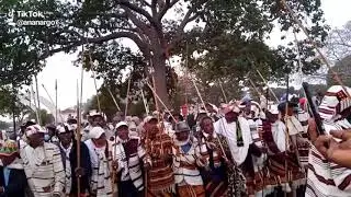 yesidama biher melkit miyastelalefubet zede