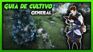 GUÍA DE CULTIVO GENERAL | REJAS | GANANCIA | CONSEJOS | PROCESO DE COSECHA - BLACK DESERT 2020