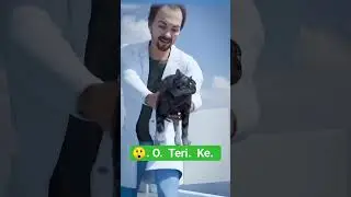🔥 cat land no, end fact in Hindi #facts #animals #shorts #catcivilization