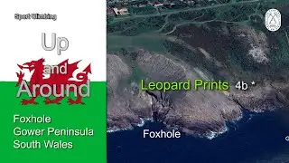 Leopard Prints - Foxhole - Gower Peninsula - South Wales