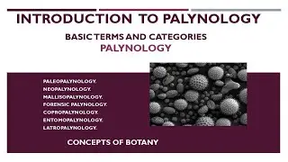 Palynology in Botany| Application, Branches|Categories of Palynomorphs|Hindi/Urdu|Concepts of Botany