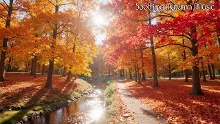 Autumn Healing Music | Soft Sunlight, Calming Piano & Forest Birds for Deep Relaxation 🌿🌞