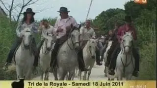Noir et Blanc du mardi 21 juin 2011 - TV Sud
