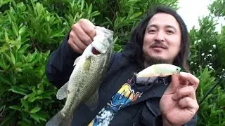 釣りニンジャのぶらぶら旅 第十回 うどん県編・前編 (370)