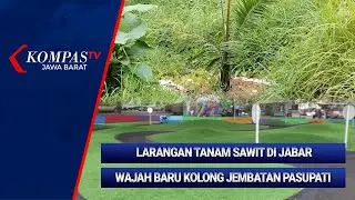 KOMPAS PAGI: Larangan Tanam Sawit di Jawa Barat-Wajah Baru Kolong Jembatan Pasupati