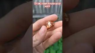 Cutting a Baby Redskin Aussie Agate #thefinders #agate #cuttingrocks