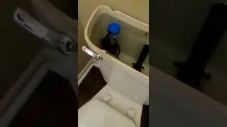 Can't stand this old toilet 😤