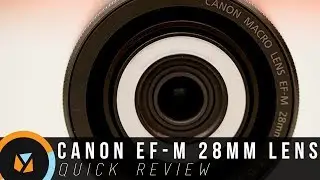 Canon EF-M 28mm Macro Lens Review