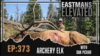 Archery Elk With Dan Pickar | Eastmans' Elevated Podcast #373