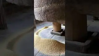 Ancient Wheat Grinding Process #ancient #wheat #grinding #shorts