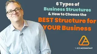 SIX Business Types and How To Choose the Right Entity Type For You