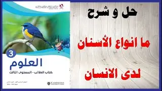 حل اسئلة و شرح ما انواع الاسنان لدى الانسان كتاب العلوم المستوى الثالث المنهاج القطري