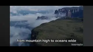 Deforestation music video