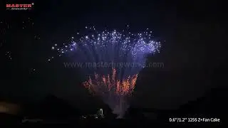 0.6''/1.2'' 125S Z+Fan Cake #fireworks #cake