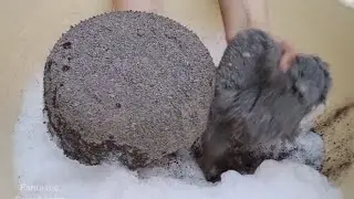 Dusty crunchy black 🖤 concrete crumble dipping in bubble 💭 water 💦💦💦 paste play Asmr 