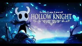 Reflection (Hollow Knight) Acoustic Guitar Cover