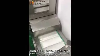 vertical packaging machine + combination scale + Z-type loader | Quick-frozen dumpling packaging