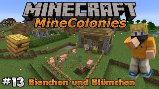 Bienen f&uuml;r Honig und Waben  - Minecraft Minecolonies #13
