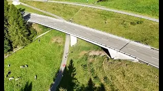 Robot-assisted bridge condition inspection using NDT