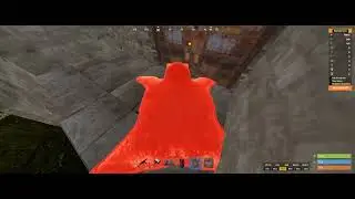 RUST bugs