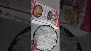 India Gate Mini Mogra Basmati Rice Review #vegfoodz #ytshorts #review #tryit #indiagate #minimogra