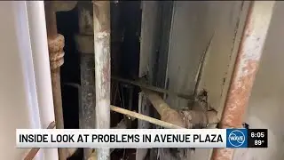 Avenue Plaza residents complain about water, mold and feces as LMHA plans upgrades