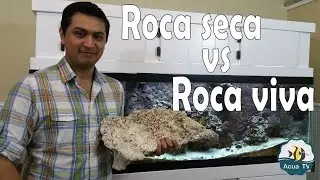 Acuario Marino - Roca Seca o muerta y Roca viva