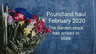 Poundland haul February 2020, the garden stock has started to arrive