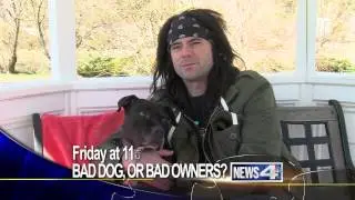 Friday at 11: Pitbull Owner Fights to Improve Breed's Reputation