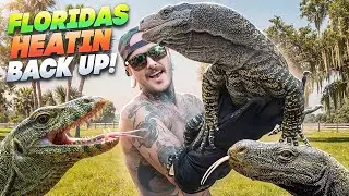 ALL My Lizards Pooped on Me… Moving Day Gone Wrong 🦎💩
