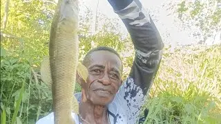 TRAIR&Atilde;O E TIL&Aacute;PIA NA LAGOA 