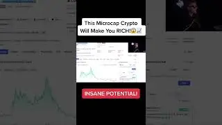 This Microcap Crypto Will Make You RICH!