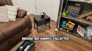 60 Point Mold Check