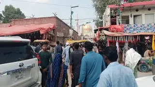 Live Sehwan Mela 16 Shaban Sdz