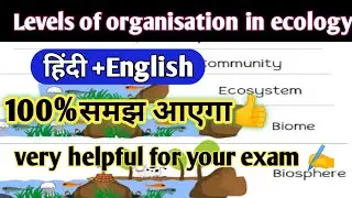 levels of organisation in ecology|ecology|levels of ecological organization bsc 6th semester