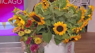 The Wildflower Farm: A U-Pick Flower Farm