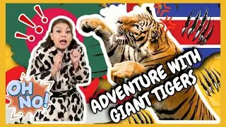 Exploring the Jungle with a Giant Tiger! | Animal Fun for Kids 🌳🐅#tiger #animals #viralvideo #story