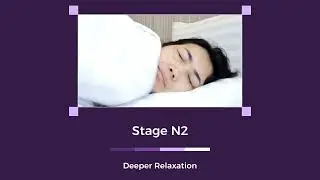 The Brain's Activity During Sleep