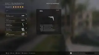 Cod Warzone Grinding for all the akimbo day 3 1911 Bo part 1 (except for amp63)