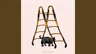 Mine
