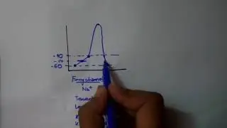 SIMPLEST explanation of SA NODAL action potential!