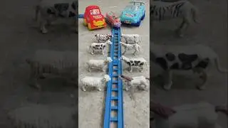 ok mamu 🚁 cow videos #toys #automobile #gadiwalacartoon #train bulldozer baba jindabad