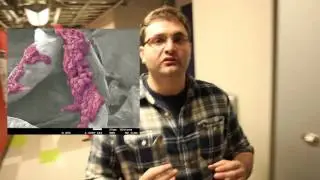 Plant Scaffolds for Cell Culture - Daniel Modulevsky - University of Ottawa