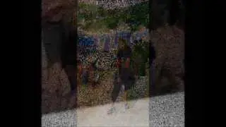 Attimi di vita sospesi 2011