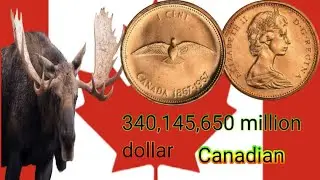 The 1967 Canadian 1-Cent Coin Worth $340 Million?! Rare Coin Secrets Revealed!