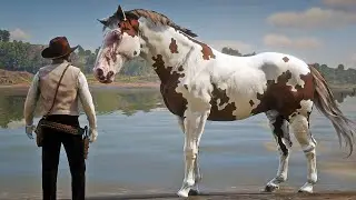 John Marston Tames Huge Sorrel Overo Criollo Horse near Van Horn | RDR2